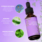 Cyperus Rotondus sérum